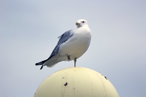 294791