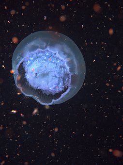 300371