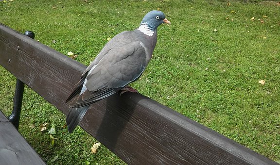 40071