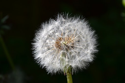 295999