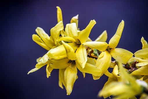 401283