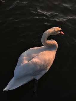 343654