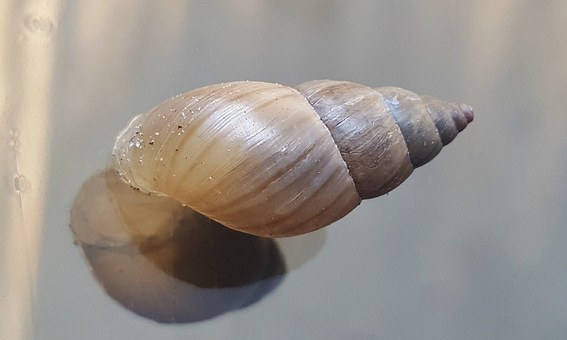 7288