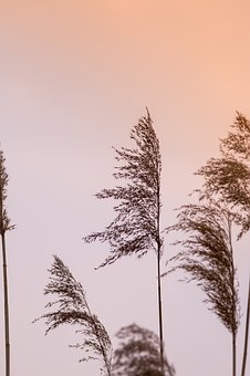 102187