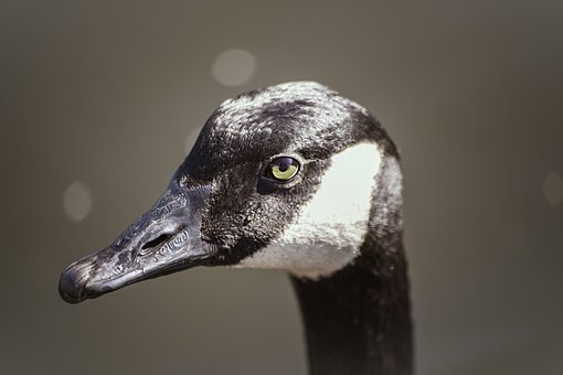 17674