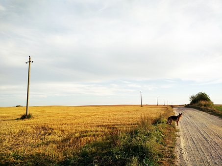 161899