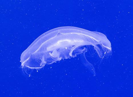 140092