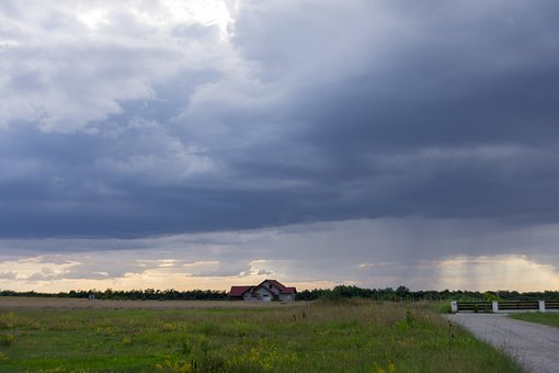 295425