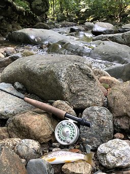 100779