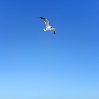 97291