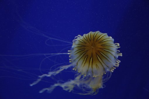 156059