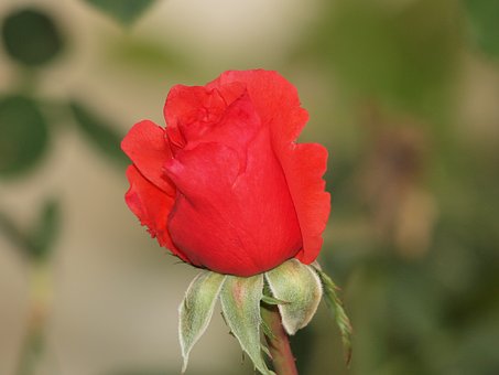 280502
