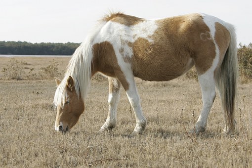 102521