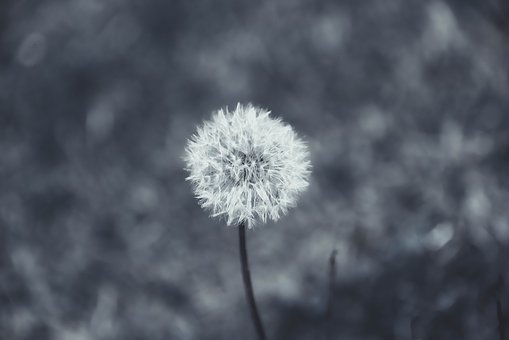 301062
