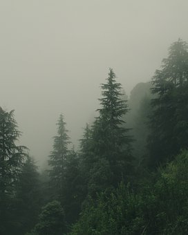 126818