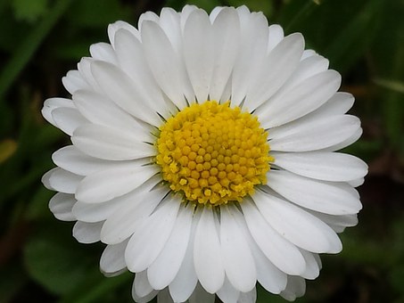 24916