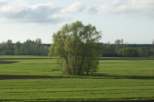 20120