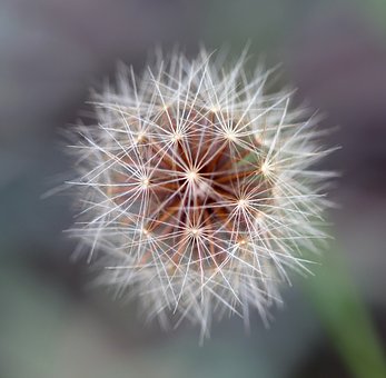 120744