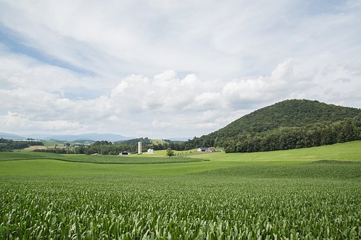 169284