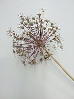 270905