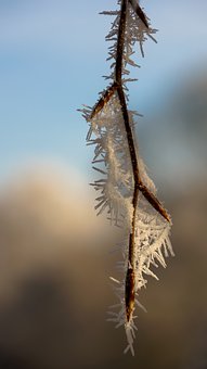 302265