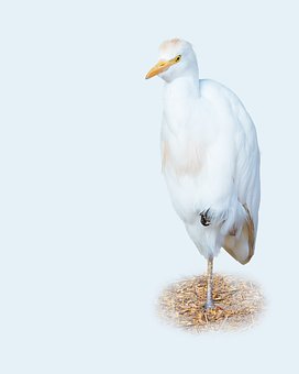 58440