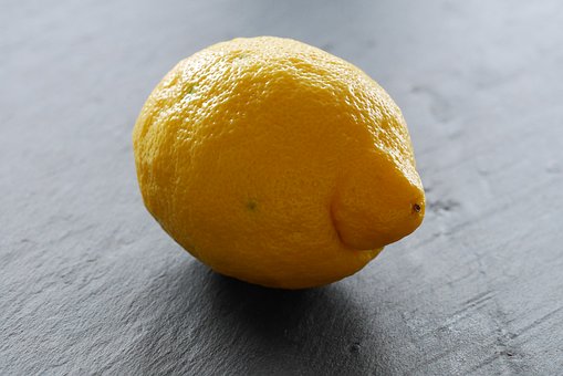 19256