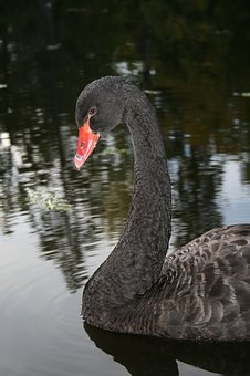 38167