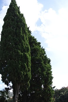 144044