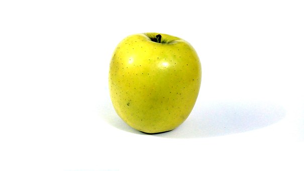 4981