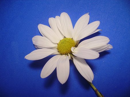 220065