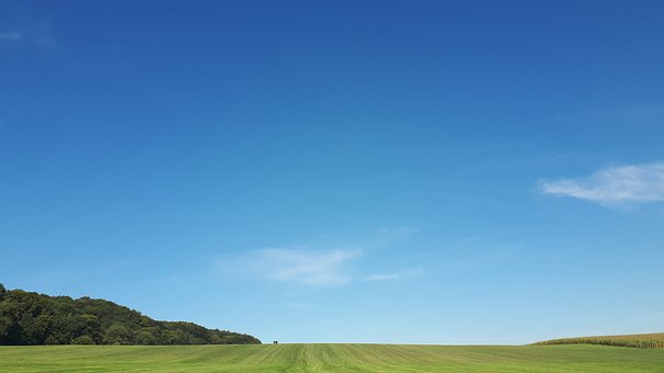 346301