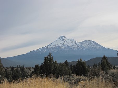 173531