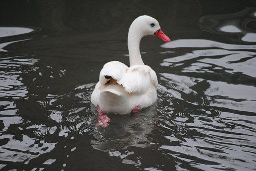 69516