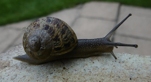 112672