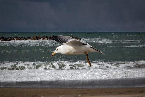 275661