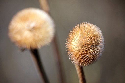3012