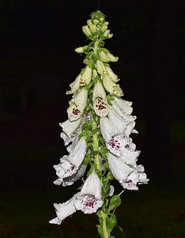 189670