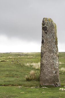295323