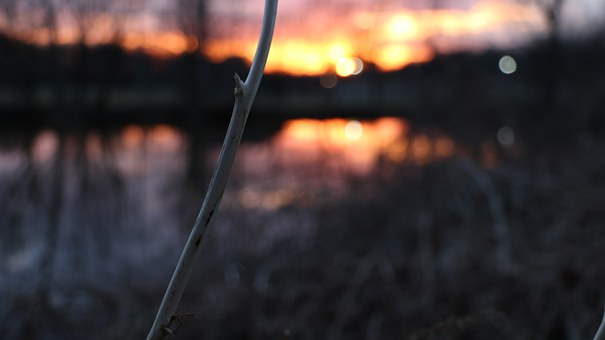 34012
