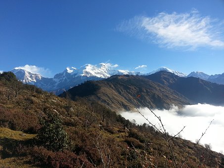 96479