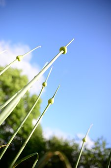 26051