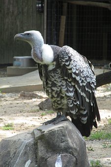 68987