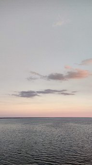 81061
