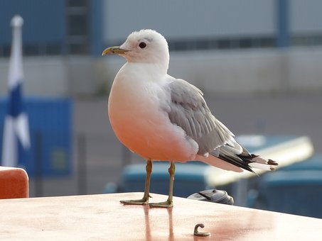 317587