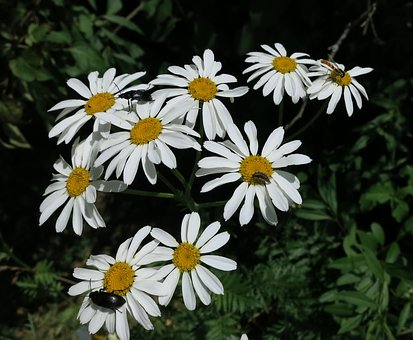 156061