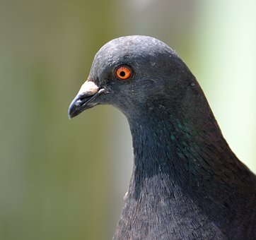 230381