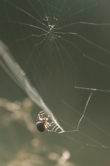 96041
