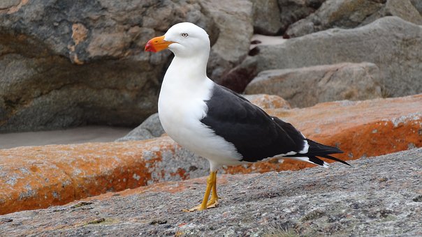 77992