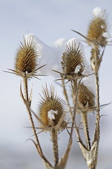 88435